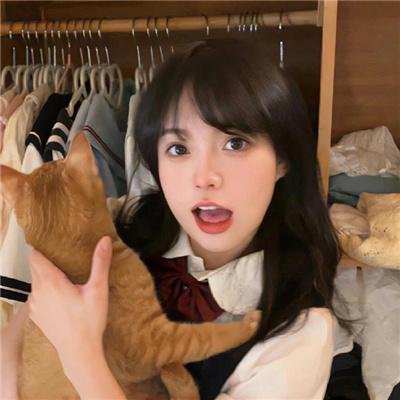 单身骑士